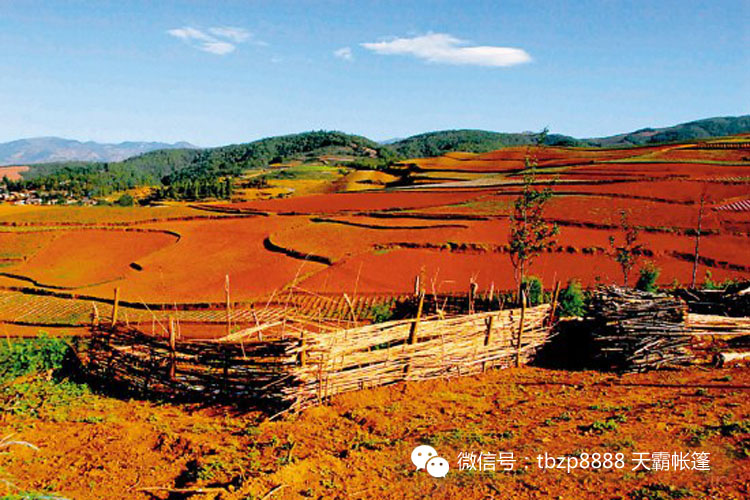 六月美麗的土地，對的時間去對的地方