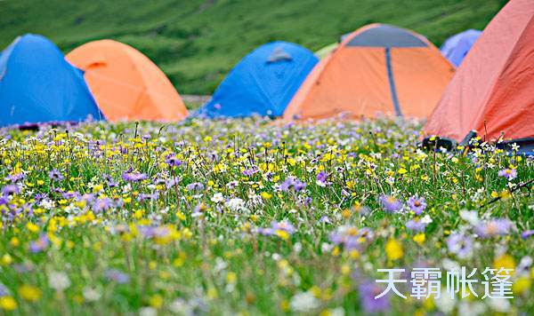 適合每個(gè)階段孩子年齡的戶外運(yùn)動(dòng)形式